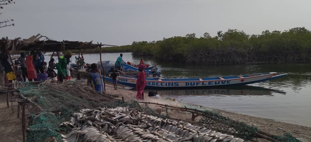 La pirogue Médecins du Fleuve amarrée au village de pêcheurs, dans la mangrove